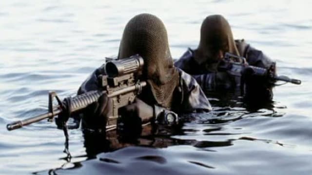 フロッグマン｜デンマークの水中特殊部隊