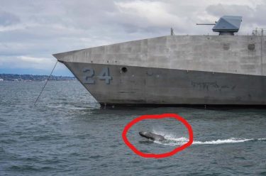米海軍が超小型無人艇「ADARO」を公開