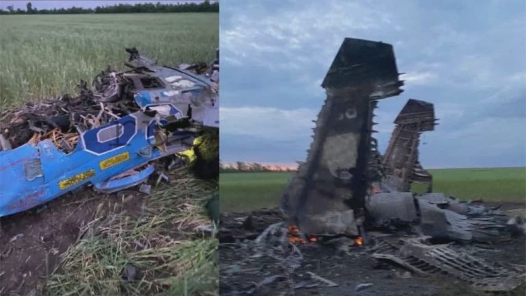 フレンドリーファイアか？ウクライナ空軍のSu-27が撃墜