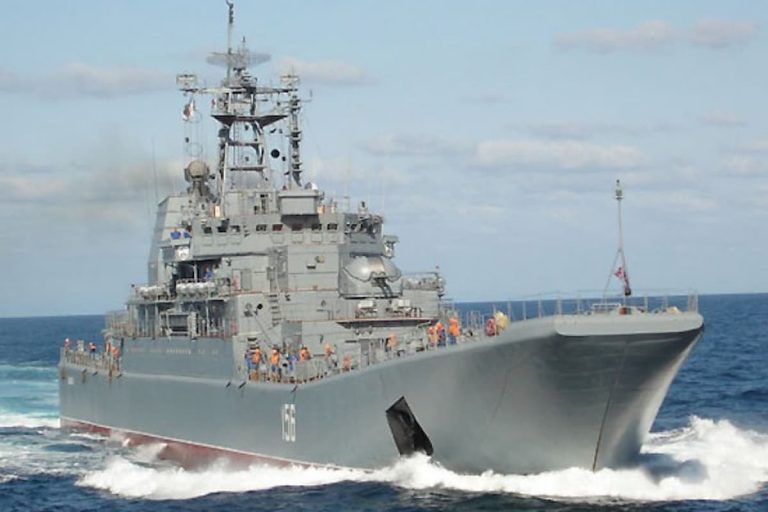 ウクライナ軍、黒海艦隊の2隻の大型揚陸艦への攻撃に成功したと発表！揚陸艦の戦力は半減